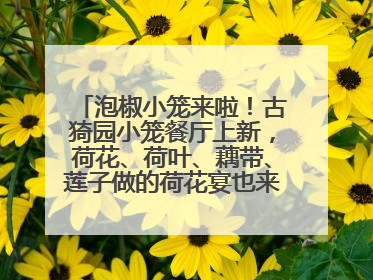 泡椒小笼来啦！古猗园小笼餐厅上新，荷花、荷叶、藕带、莲子做的荷花宴也来尝一下？