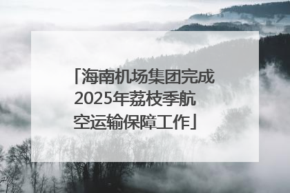 海南机场集团完成2025年荔枝季航空运输保障工作