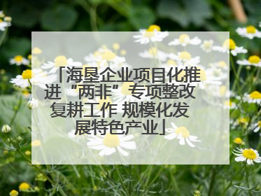 海垦企业项目化推进“两非”专项整改复耕工作 规模化发展特色产业