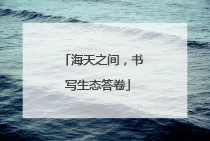 海天之间，书写生态答卷