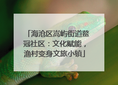海沧区嵩屿街道鳌冠社区：文化赋能，渔村变身文旅小镇