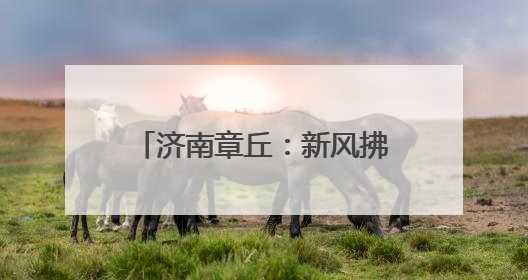 济南章丘：新风拂沃野 乡村展画卷