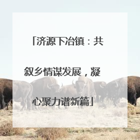 济源下冶镇：共叙乡情谋发展，凝心聚力谱新篇