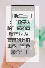 浙江三门：“数字大脑”赋能青蟹产业 从育苗到养殖重塑“蓝色粮仓”