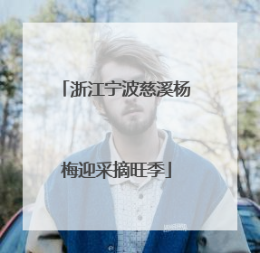 浙江宁波慈溪杨梅迎采摘旺季