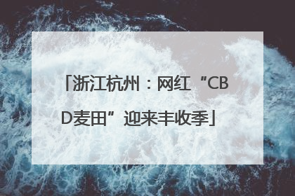 浙江杭州：网红“CBD麦田”迎来丰收季