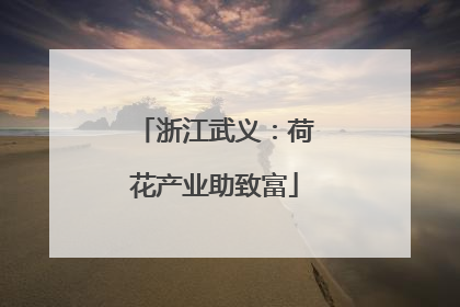 浙江武义：荷花产业助致富