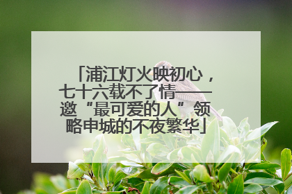 浦江灯火映初心，七十六载不了情——邀“最可爱的人”领略申城的不夜繁华