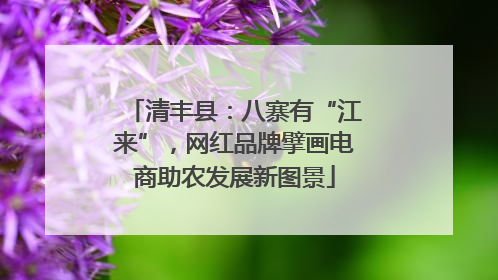 清丰县：八寨有“江来”，网红品牌擘画电商助农发展新图景