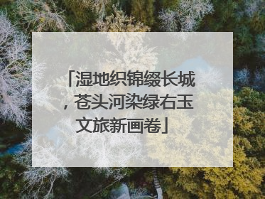湿地织锦缀长城，苍头河染绿右玉文旅新画卷