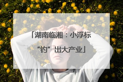 湖南临湘：小浮标“钓”出大产业