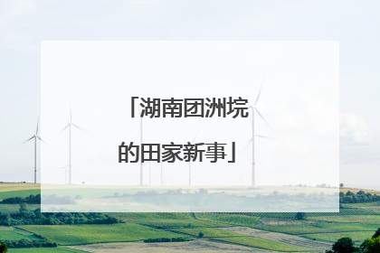 湖南团洲垸的田家新事