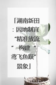 湖南新田：因地制宜“精准放流” 构建“鸢飞鱼跃”景象