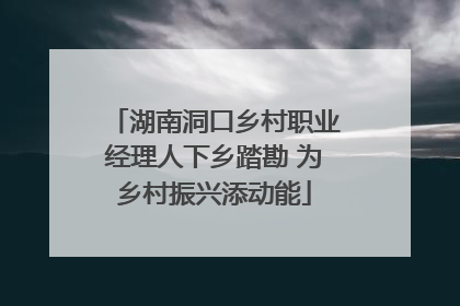 湖南洞口乡村职业经理人下乡踏勘 为乡村振兴添动能