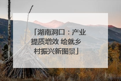 湖南洞口：产业提质增效 绘就乡村振兴新图景