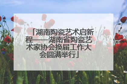 湖南陶瓷艺术启新程——湖南省陶瓷艺术家协会换届工作大会圆满举行