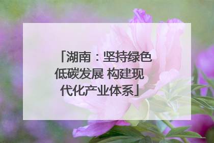 湖南：坚持绿色低碳发展 构建现代化产业体系