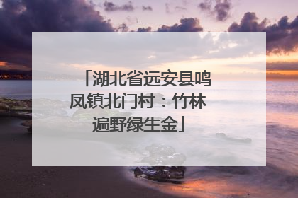 湖北省远安县鸣凤镇北门村：竹林遍野绿生金