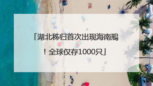 湖北秭归首次出现海南鳽！全球仅存1000只