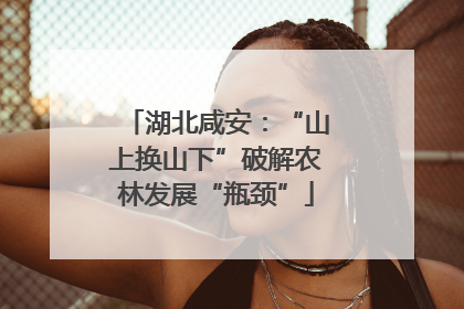 湖北咸安：“山上换山下”破解农林发展“瓶颈”