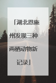 湖北恩施州发现三种两栖动物新记录