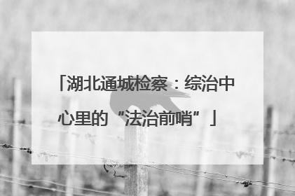 湖北通城检察：综治中心里的“法治前哨”