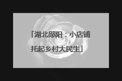 湖北郧阳：小店铺托起乡村大民生