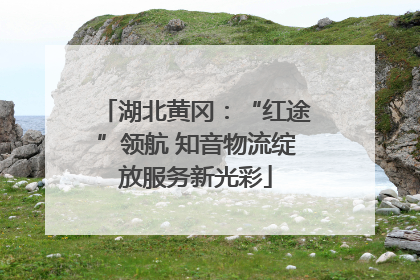 湖北黄冈：“红途”领航 知音物流绽放服务新光彩
