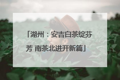 湖州：安吉白茶绽芬芳 南茶北进开新篇