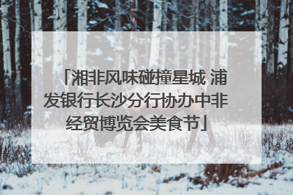 湘非风味碰撞星城 浦发银行长沙分行协办中非经贸博览会美食节