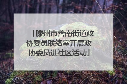 滕州市善南街道政协委员联络室开展政协委员进社区活动