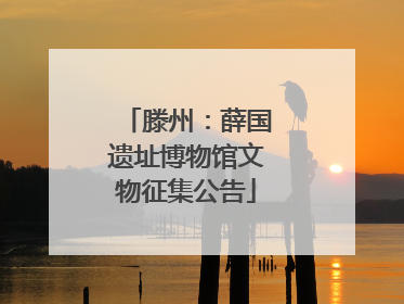 滕州：薛国遗址博物馆文物征集公告