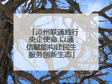 漳州联通践行央企使命 以通信赋能构建民生服务创新生态