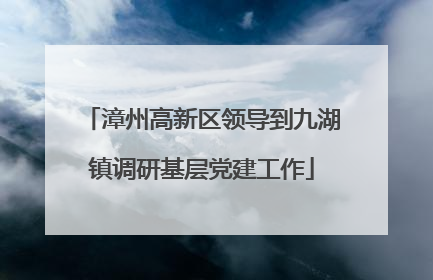 漳州高新区领导到九湖镇调研基层党建工作