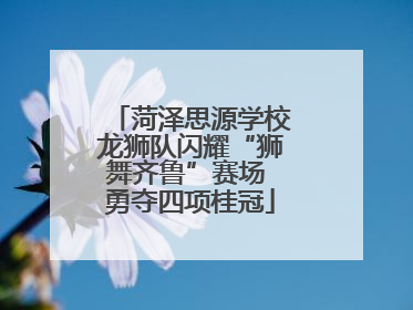 菏泽思源学校龙狮队闪耀“狮舞齐鲁”赛场 勇夺四项桂冠