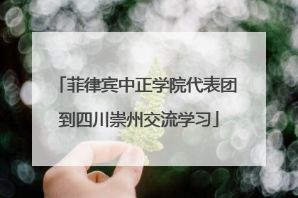 菲律宾中正学院代表团到四川崇州交流学习