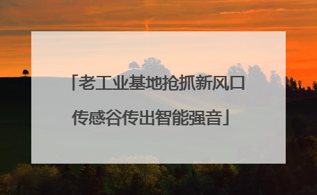 老工业基地抢抓新风口 传感谷传出智能强音