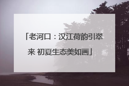 老河口：汉江荷韵引翠来 初夏生态美如画