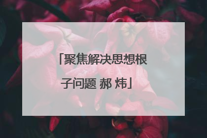 聚焦解决思想根子问题 郝 炜