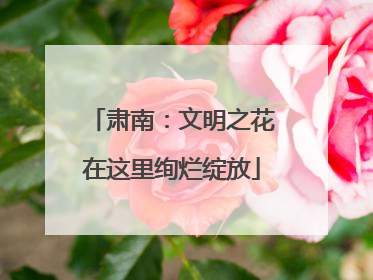 肃南：文明之花在这里绚烂绽放