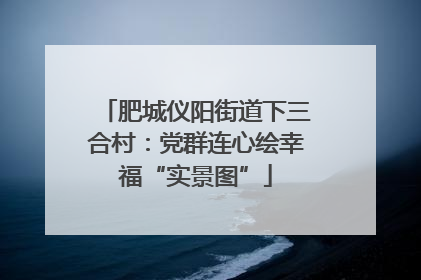 肥城仪阳街道下三合村：党群连心绘幸福“实景图”