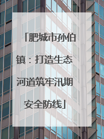 肥城市孙伯镇：打造生态河道筑牢汛期安全防线