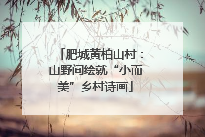 肥城黄柏山村：山野间绘就“小而美”乡村诗画