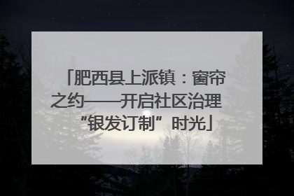 肥西县上派镇：窗帘之约——开启社区治理“银发订制”时光