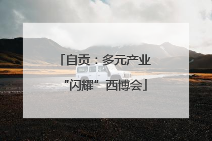 自贡：多元产业“闪耀”西博会