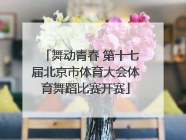舞动青春 第十七届北京市体育大会体育舞蹈比赛开赛