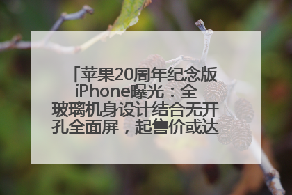 苹果20周年纪念版iPhone曝光：全玻璃机身设计结合无开孔全面屏，起售价或达1.45万人民币