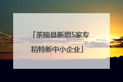 茶陵县新增5家专精特新中小企业