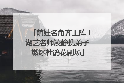 萌娃名角齐上阵！湖艺名师凌静携弟子燃爆杜鹃花剧场