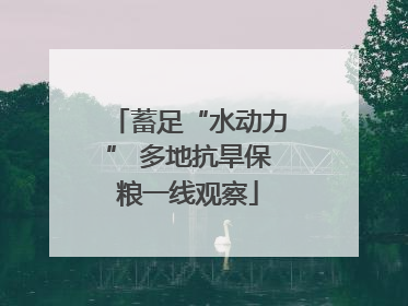 蓄足“水动力” 多地抗旱保粮一线观察